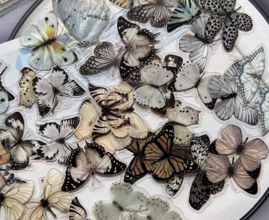 Die-Cut Butterfly Stickers